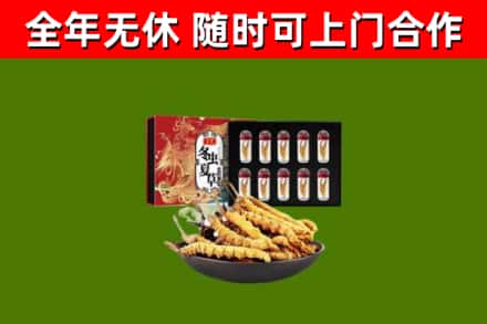 大观区回收冬虫夏草价格