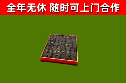 大观区烟酒回收海参.jpg